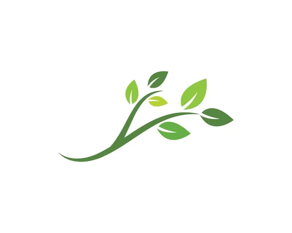 绿叶生态自然元素 — 图库矢量图片