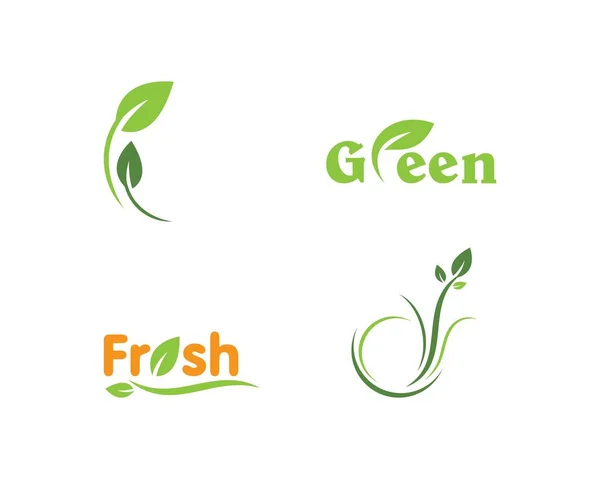 Leaf Logo Template — Stock Vector