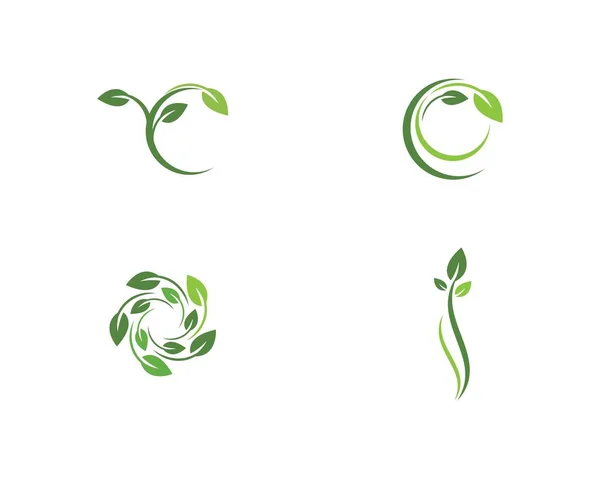 Modèle de logo de feuille — Image vectorielle