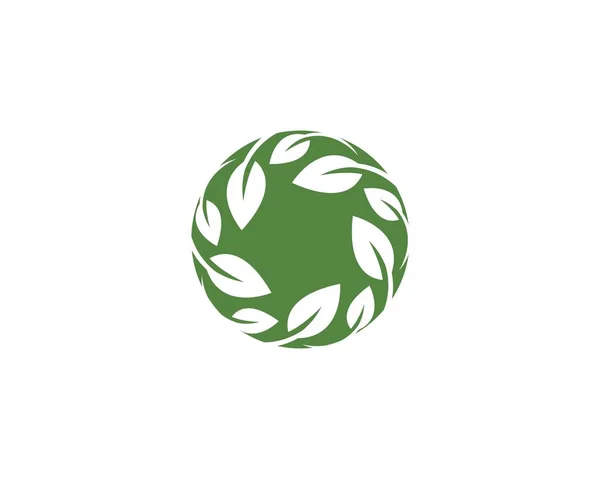녹색 잎 생태학적 요소 — 스톡 벡터