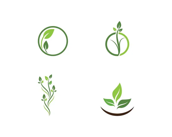 Verde folha ecologia elemento natureza —  Vetores de Stock