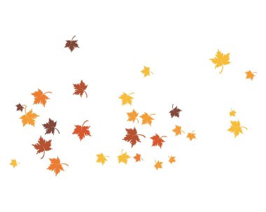 sonbahar Yaprak arka plan konsepti  