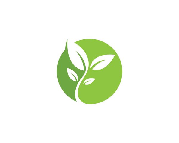 Leaf Logo vector