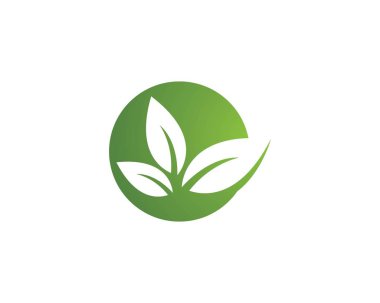 Ağaç yaprak vektör logo tasarımı