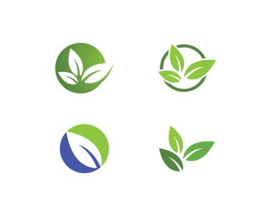 Ağaç yaprak vektör logo tasarımı