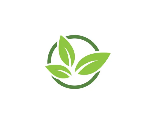 Ağaç yaprak vektör logo tasarımı — Stok Vektör