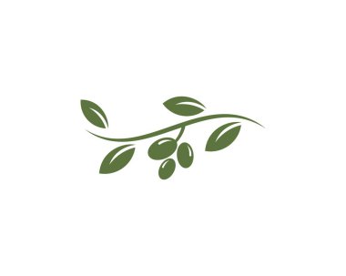 Zeytin logo şablonu