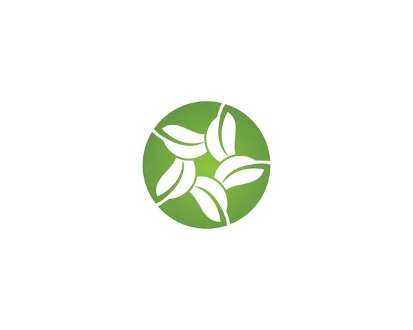 Blad Logo sjabloon — Stockvector