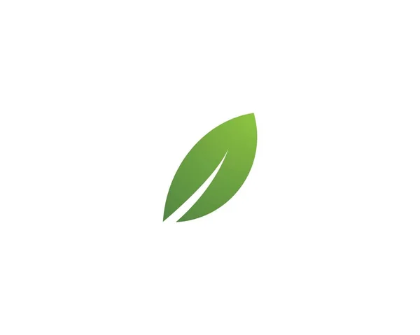 Leaf Logo mall — Stock vektor