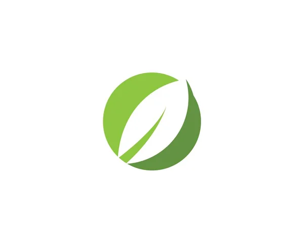 Leaf Logo Template