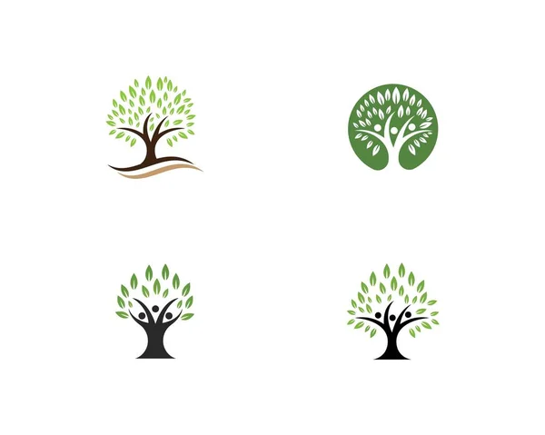 Modelo de logotipo da árvore genealógica —  Vetores de Stock