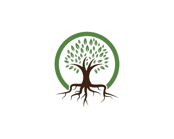 Árbol icono logotipo plantilla — Vector de stock