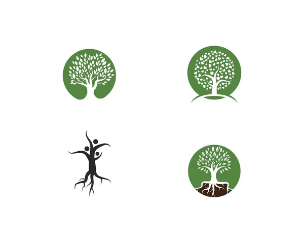 Aile Ağacı Logosu şablonu — Stok Vektör