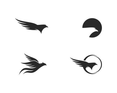 Kartal kuş Logo şablonu