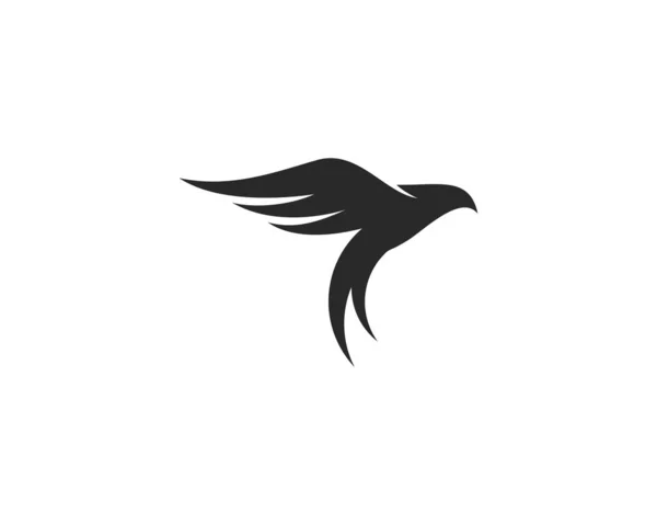 Vorlage: Adler Vogel Logo — Stockvektor