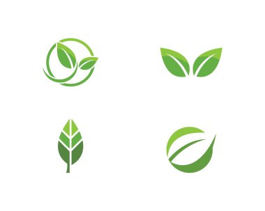 Ağaç yaprak vektör logo tasarımı