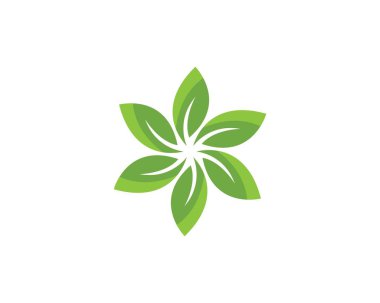 Yeşil yapraklı ekoloji doğa elementi