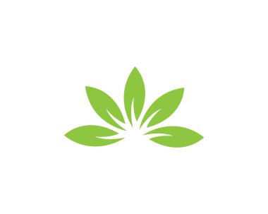 Yeşil yapraklı ekoloji doğa elementi