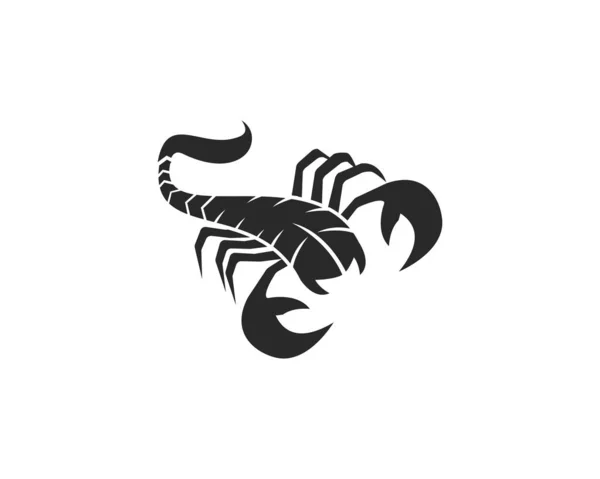 Vorlage Skorpion-Logo — Stockvektor