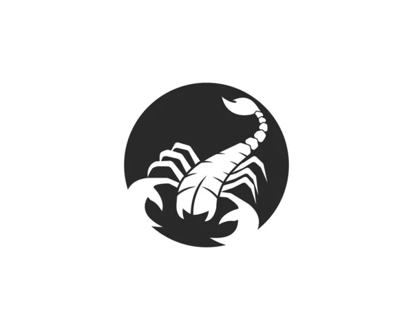 Vorlage Skorpion-Logo — Stockvektor
