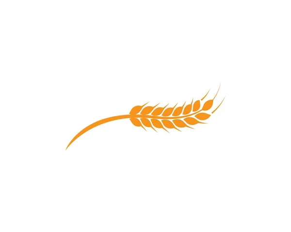 Wheat Logo Template — Stock Vector