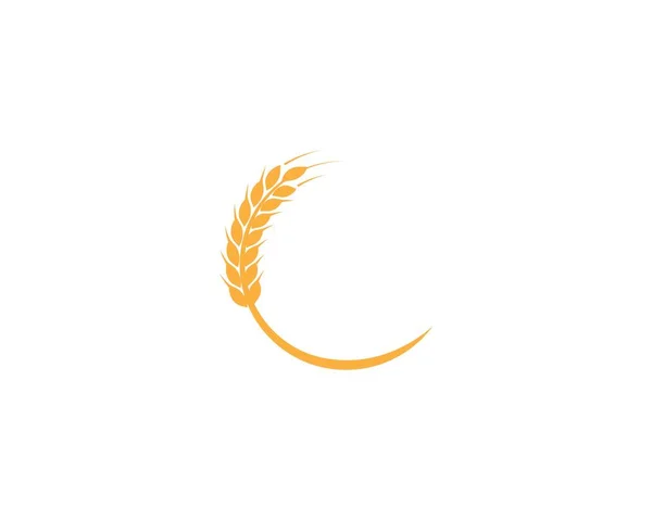 Wheat Logo Template — Stock Vector