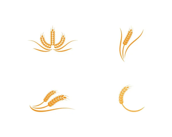 Plantilla de logotipo de trigo — Archivo Imágenes Vectoriales
