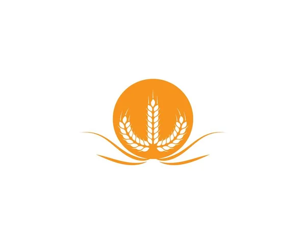 Modèle de logo blé — Image vectorielle