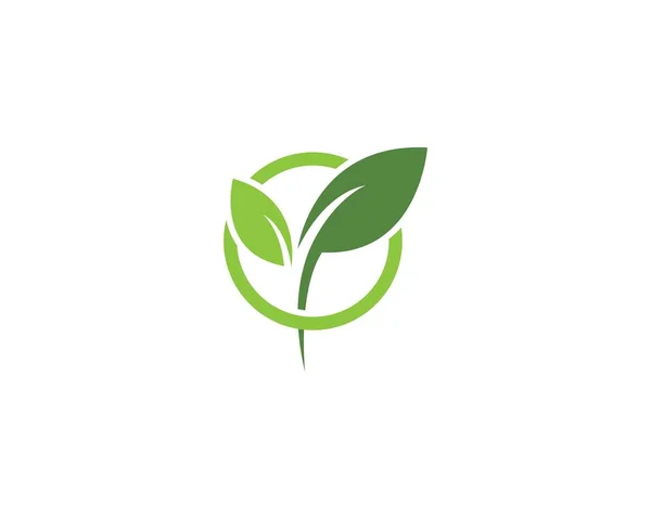 Πράσινο φύλλο οικολογικό λογότυπο διάνυσμα — Διανυσματικό Αρχείο