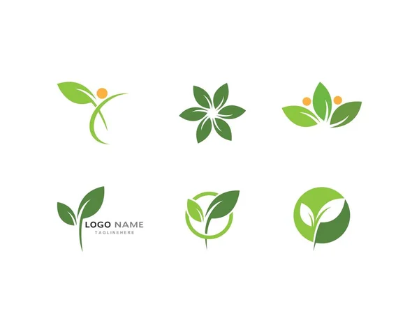 Yeşil yaprak ekoloji logoları — Stok Vektör