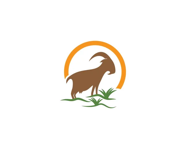 Keçi logosu şablonu — Stok Vektör