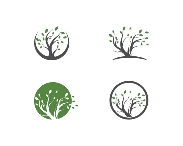 Ağaç logo şablonu — Stok Vektör