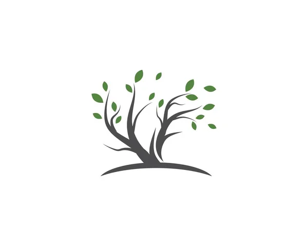 Albero logo modello — Vettoriale Stock