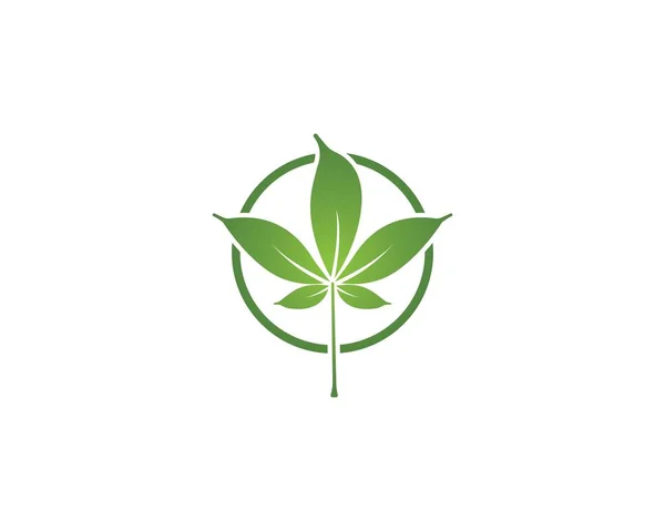 Verde hoja ecología naturaleza elemento — Vector de stock