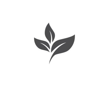 Logo vektör yaprak 