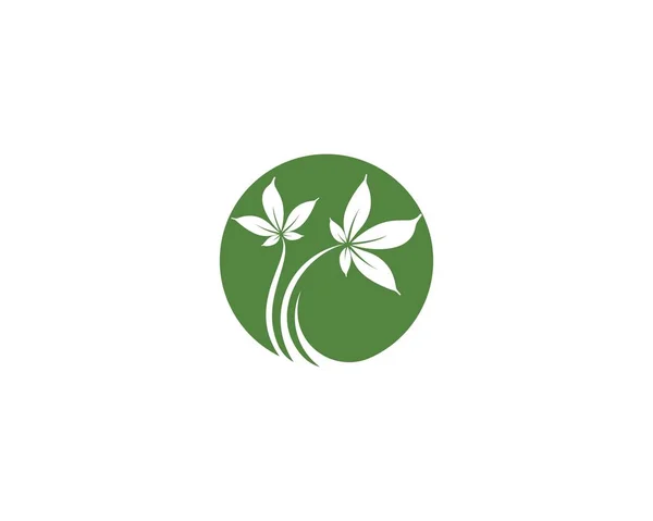 Grüne Blatt Logo Vektor — Stockvektor