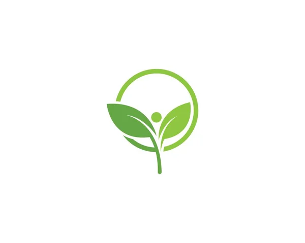 Vector de logotipo de hoja verde — Vector de stock