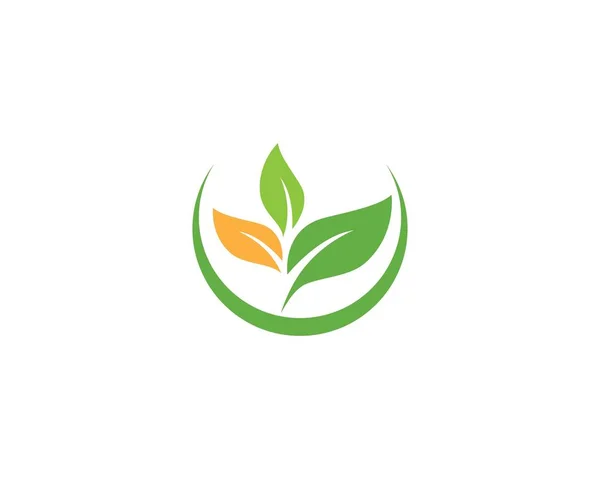 Logo feuille verte — Image vectorielle