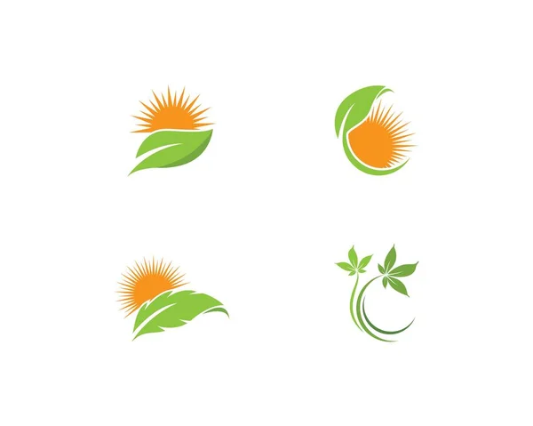 Groen blad logo vector — Stockvector