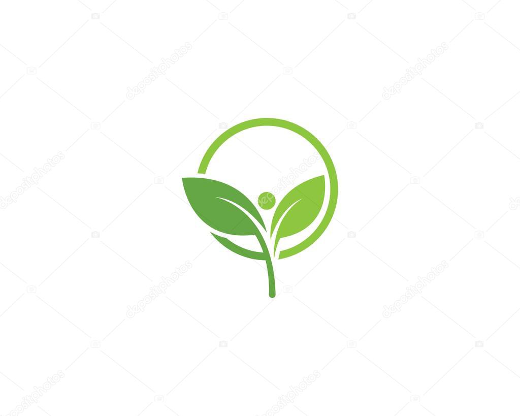 green leaf logo vector