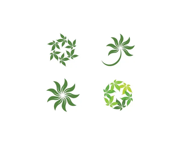 Logo Feuille d'Arbre Eco — Image vectorielle