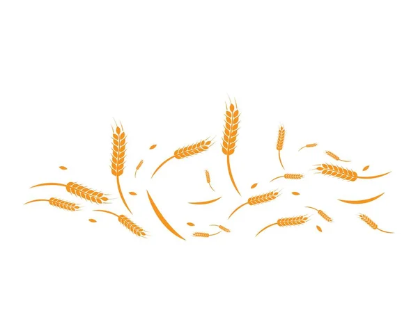 Wheat background Template — Stock Vector