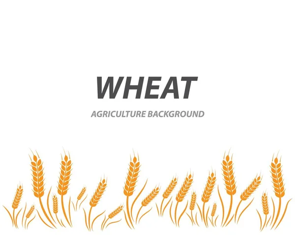 Wheat background Template — Stock Vector