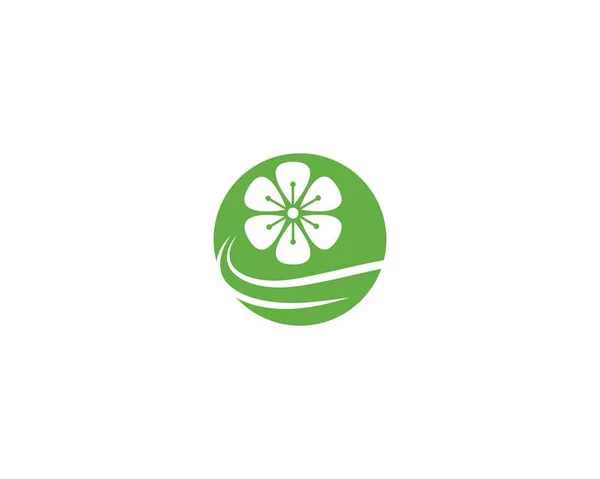Logotipo da flor de plumeria — Vetor de Stock