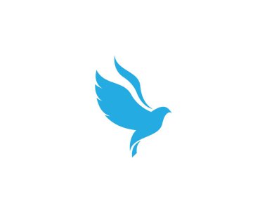 Dove Bird Logo şablonu