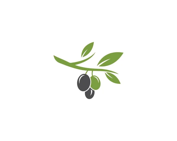 Olive logotyp mall — Stock vektor