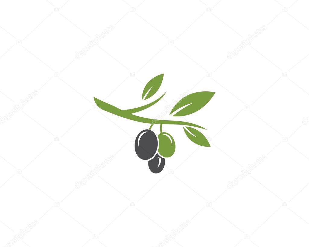 Olive logo template vector design