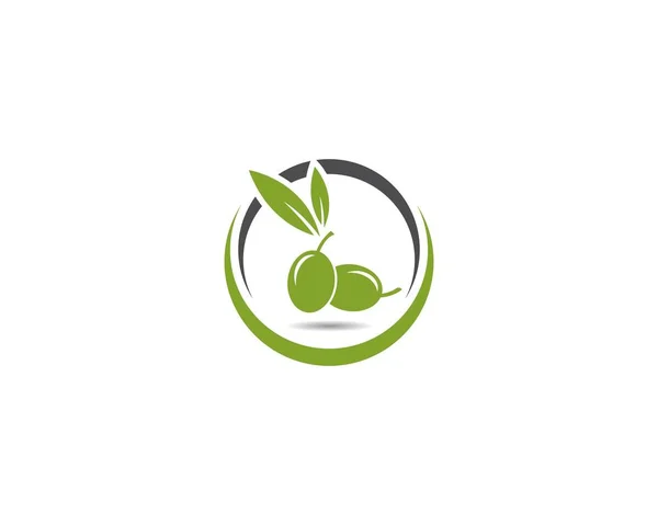 Plantilla de logotipo de oliva — Archivo Imágenes Vectoriales