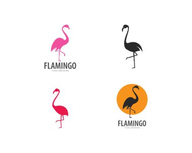 Flamingo logosu görselleştirme vektör 