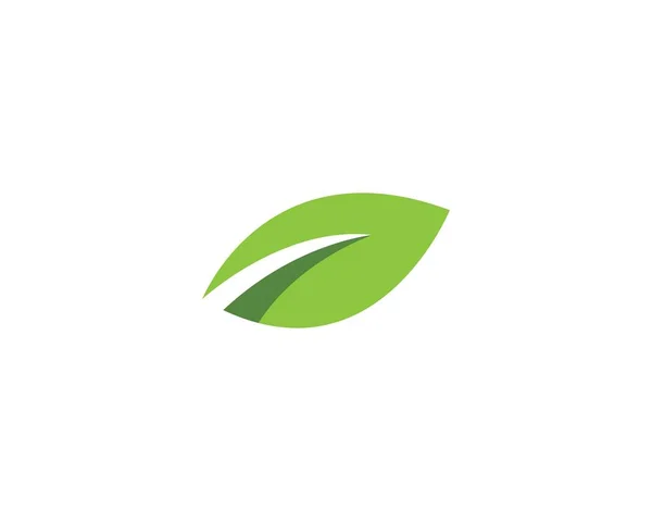 Zöld levél logó — Stock Vector